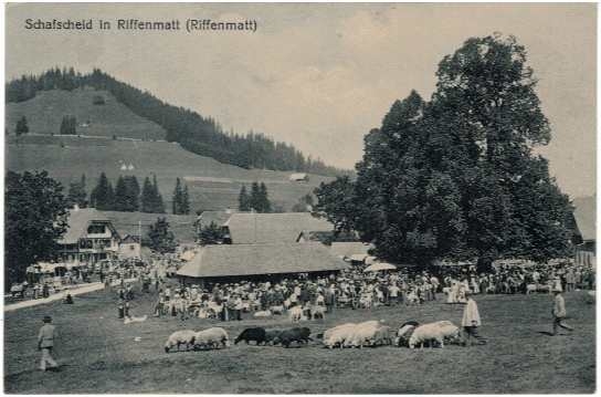 <p>Schfscheid wo Schafe von der Sömmerung verteilt wurden an den jeweiligen Besitzer , Karte Top Zustand</p>